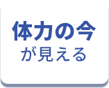 体力の今が見える